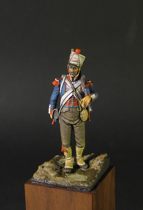 44th Line Infantry Regiment, 1810 | planetFigure | Miniatures